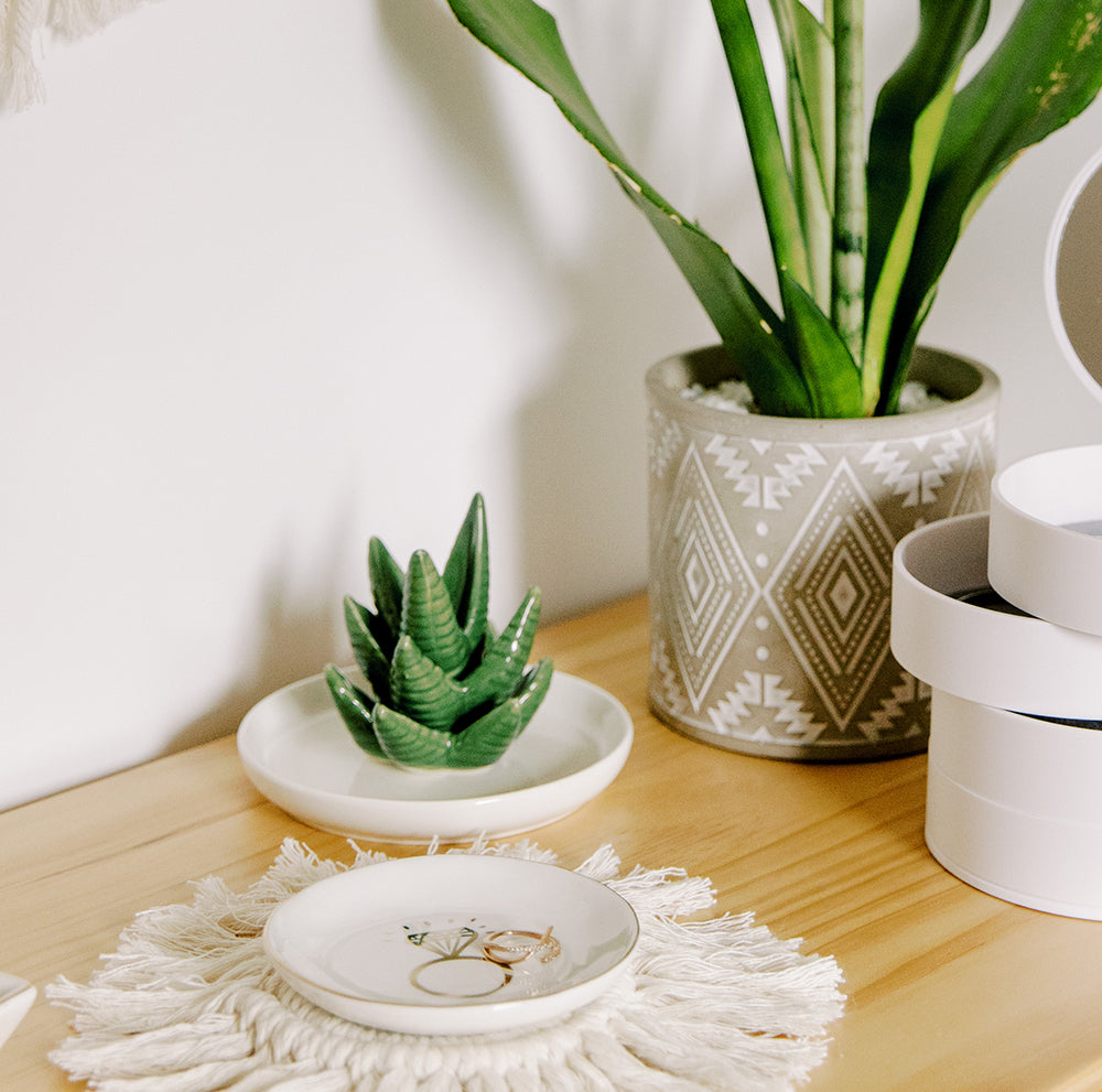 Aloe Dish Ring Holder