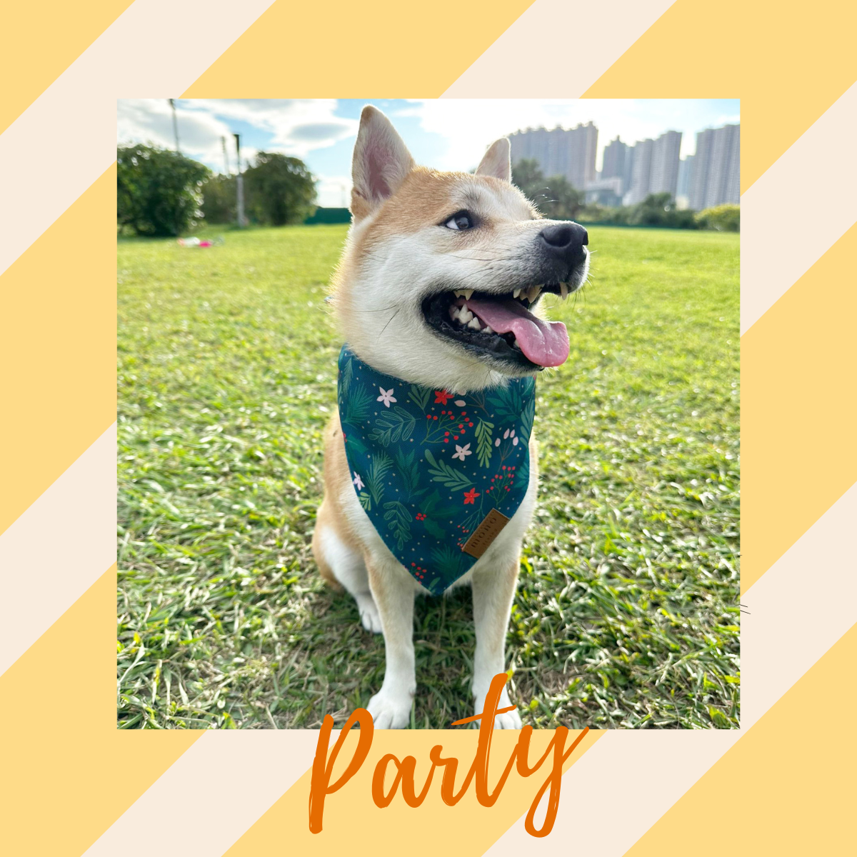 Dog Bandanas 4 Pack - Party Set