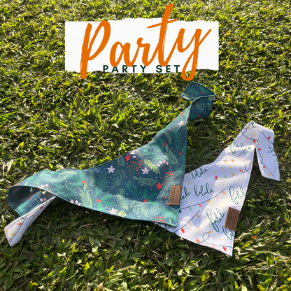 Dog Bandanas 4 Pack - Party Set