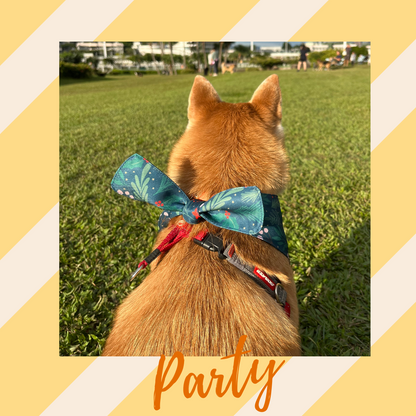 Dog Bandanas 4 Pack - Party Set