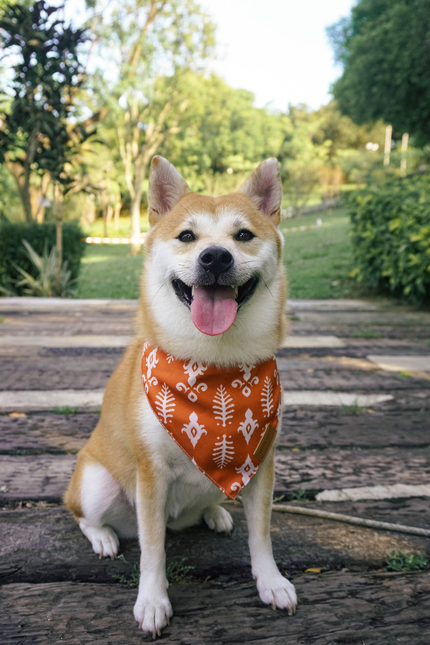 Dog Bandanas 4 Pack - Holiday Set