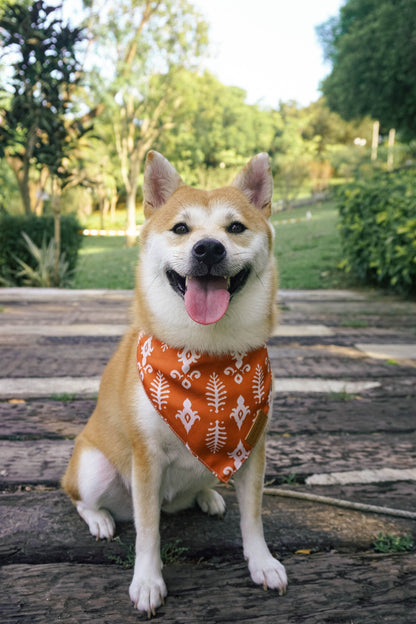 Dog Bandanas 4 Pack - Holiday Set