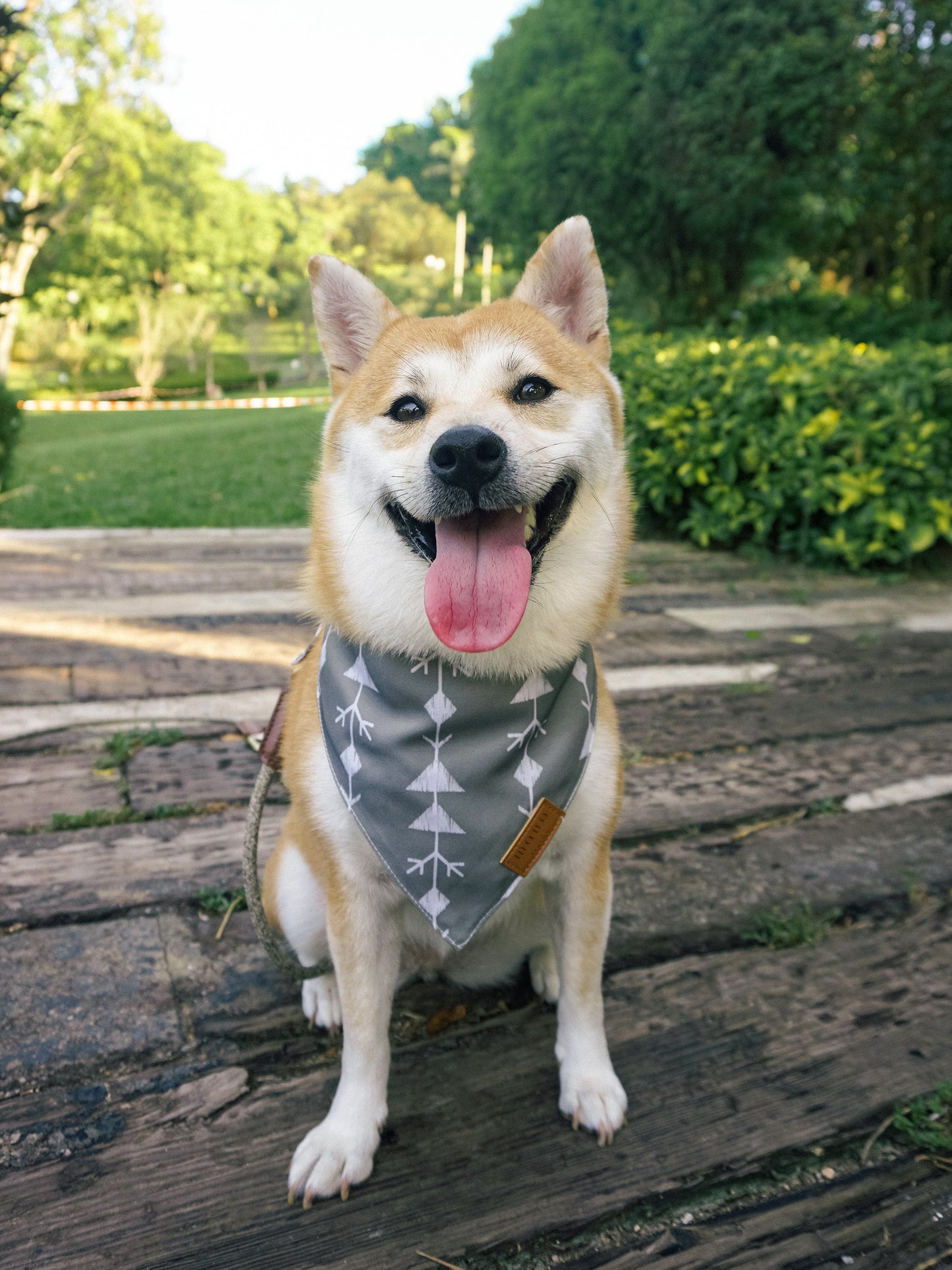 Dog Bandanas 4 Pack - Summer Set